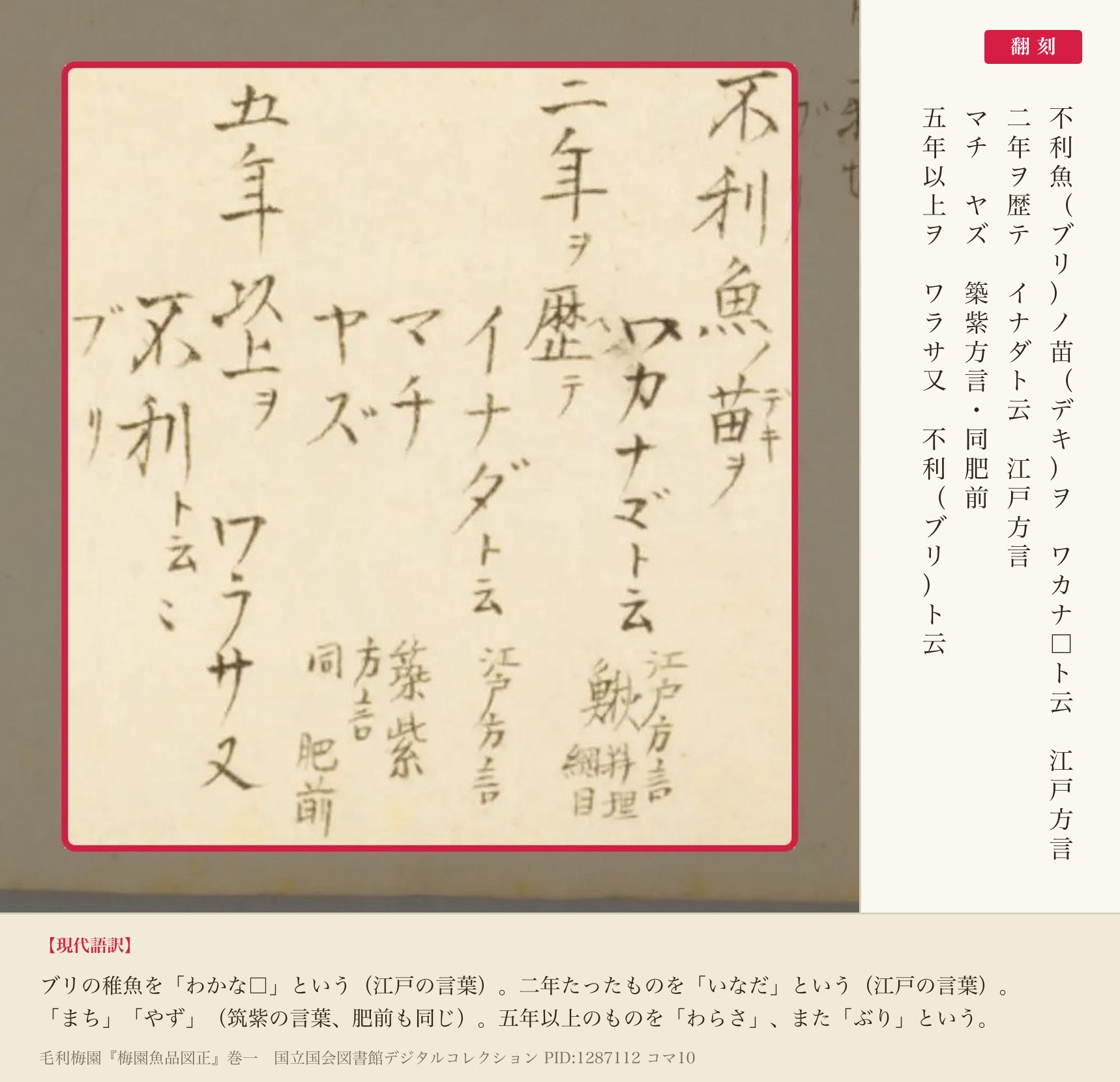 『梅園魚品図正』コマ10のブリの絵の書き入れ。育つ順に名前を並べた部分と翻刻