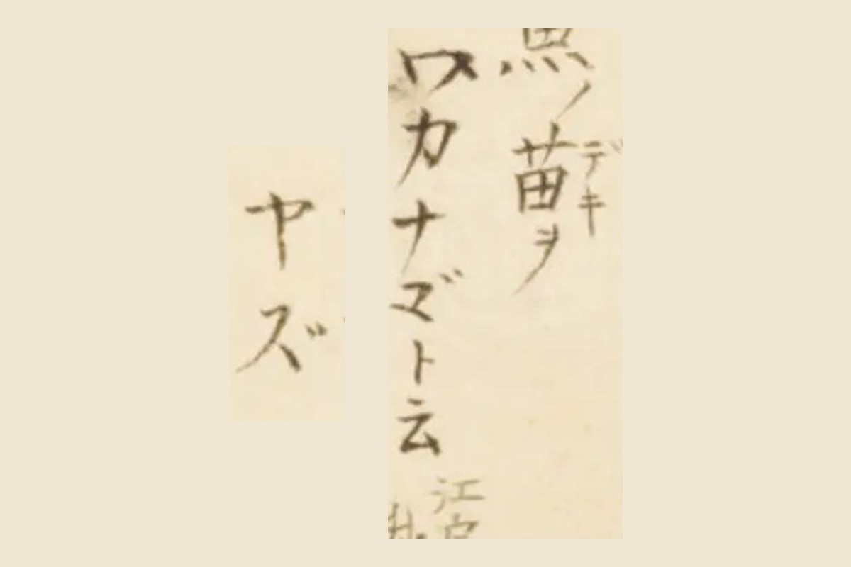『梅園魚品図正』コマ10の書き入れ「ワカナ□ト云」と、同じページの「ヤズ」の大写し
