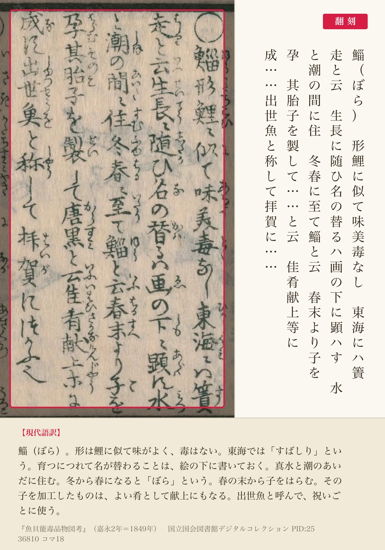 『魚貝能毒品物図考』コマ18の鯔の項と翻刻