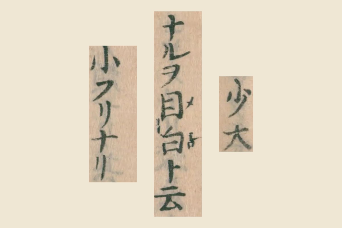 『大和本草』巻十三コマ20の「少大」「ナルヲ目白ト云」「小フリナリ」の大写し