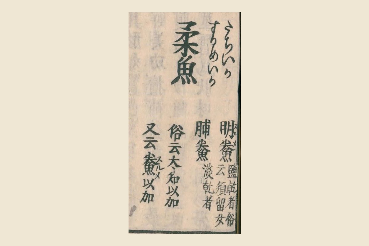 『和漢三才図会』コマ30の見出し「柔魚」と注「明鯗」「脯鯗」「俗云須留女」「又云鯗以加」の大写し