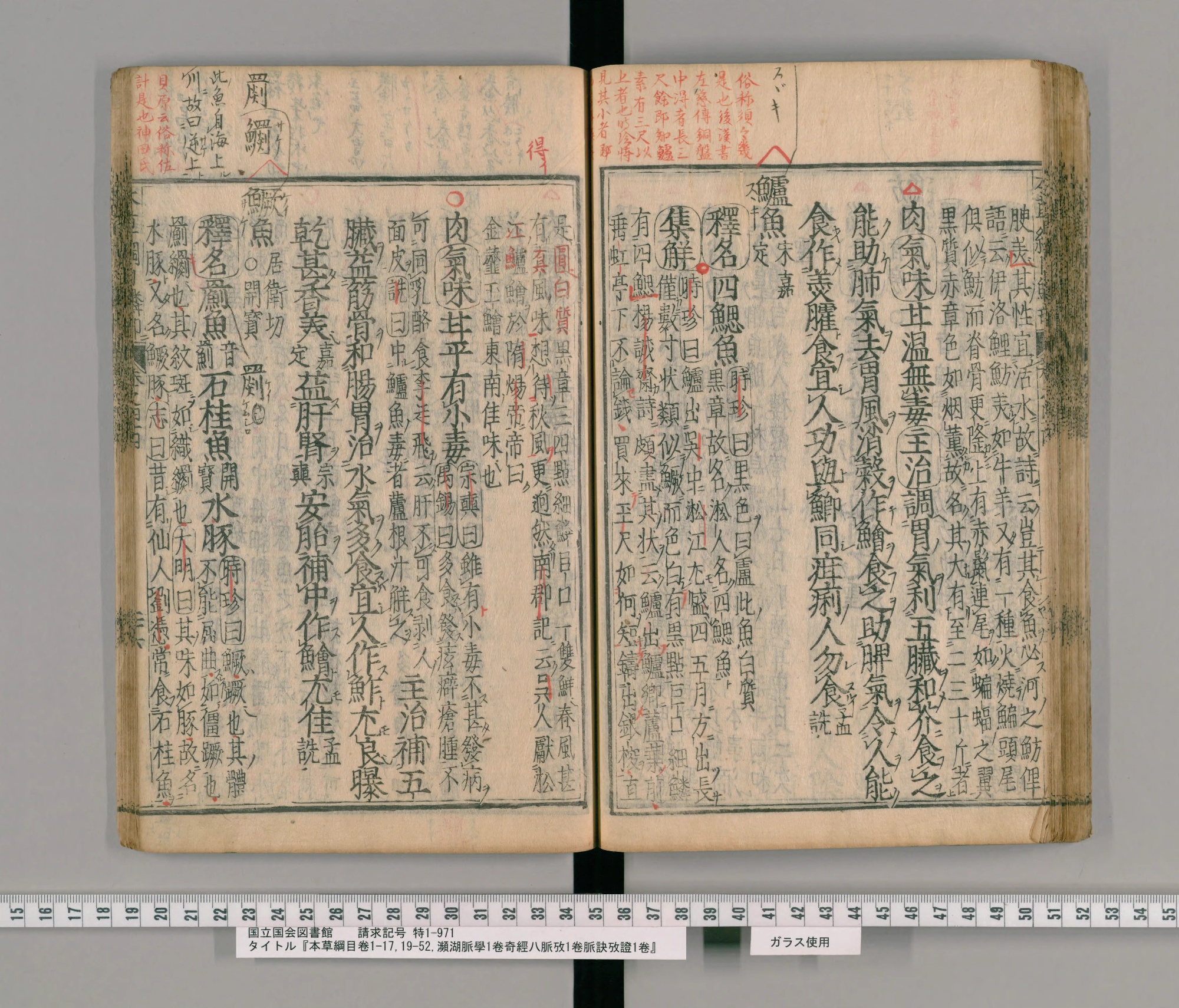 『本草綱目』承応2年刊本 巻四十四コマ73の見開き。右ページに見出し「鱸魚」、上の余白に朱の書き入れ