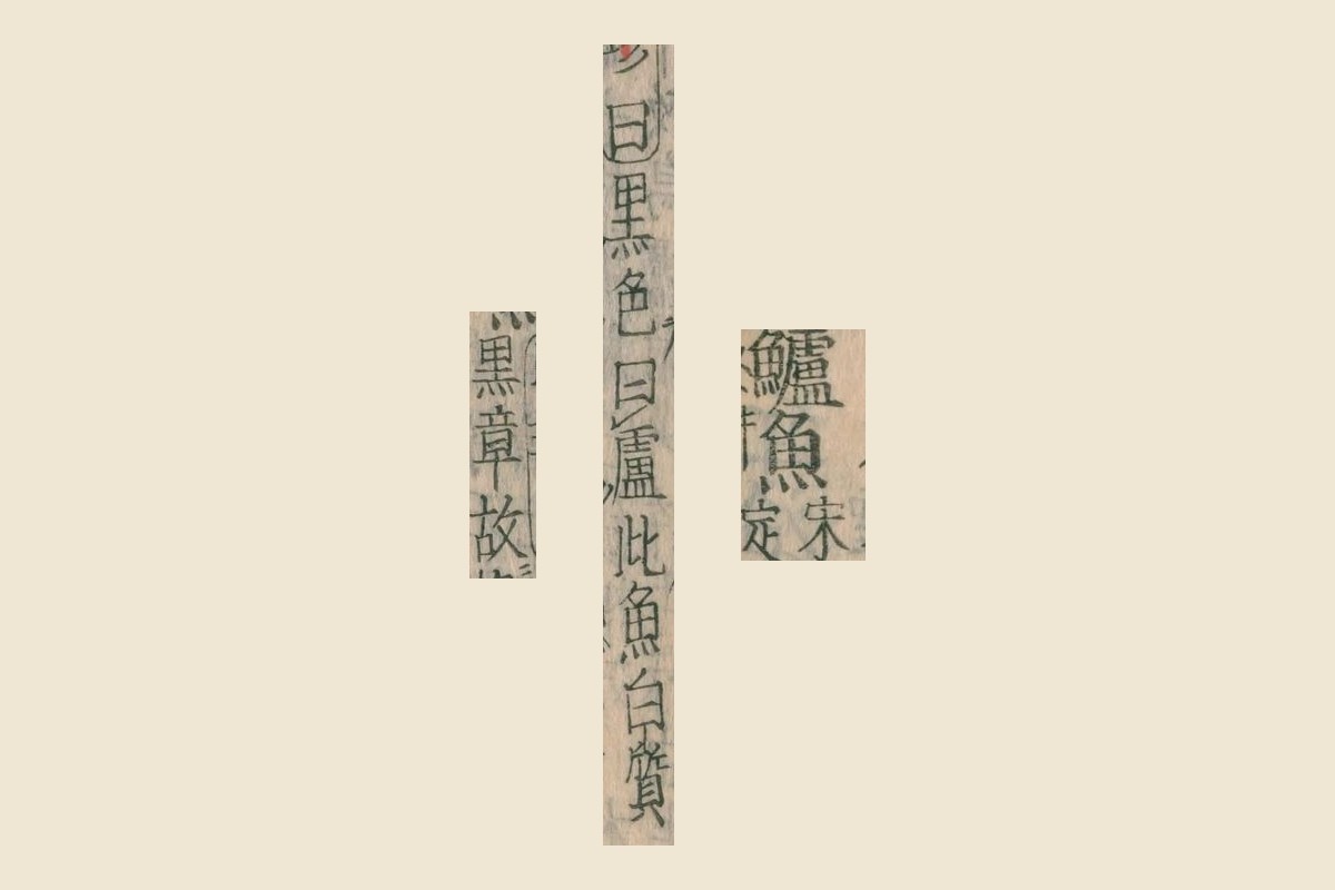 『本草綱目』コマ73の見出し「鱸魚」と「曰黒色曰盧此魚白質」「黒章故」の大写し