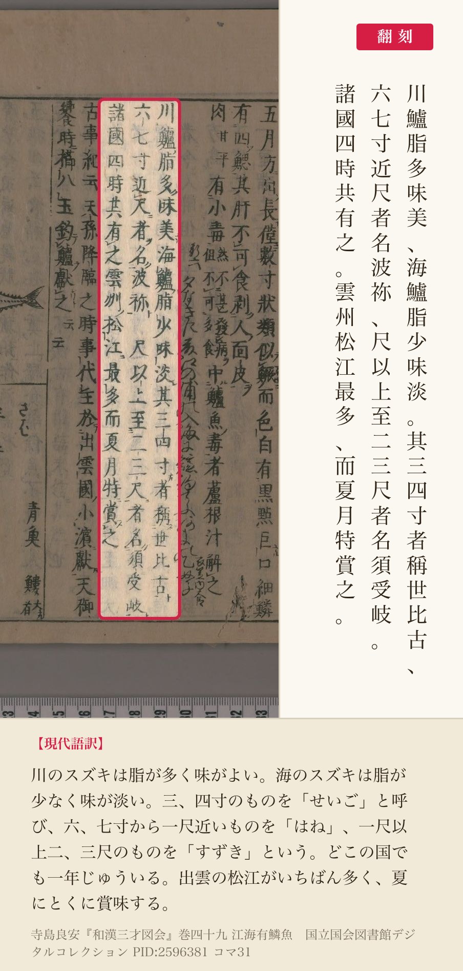『和漢三才図会』巻四十九コマ31の「川鱸脂多味美」から「雲州松江最多而夏月特賞之」までの3列と翻刻