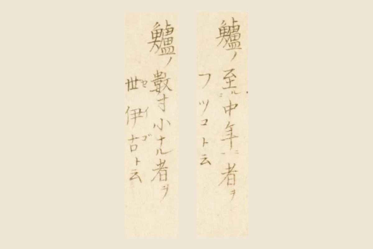 『梅園魚品図正』の「鱸ノ至中年ニ者ヲ フツコト云」と「鱸ノ數寸小ナル者ヲ 世伊古ト云」の大写し