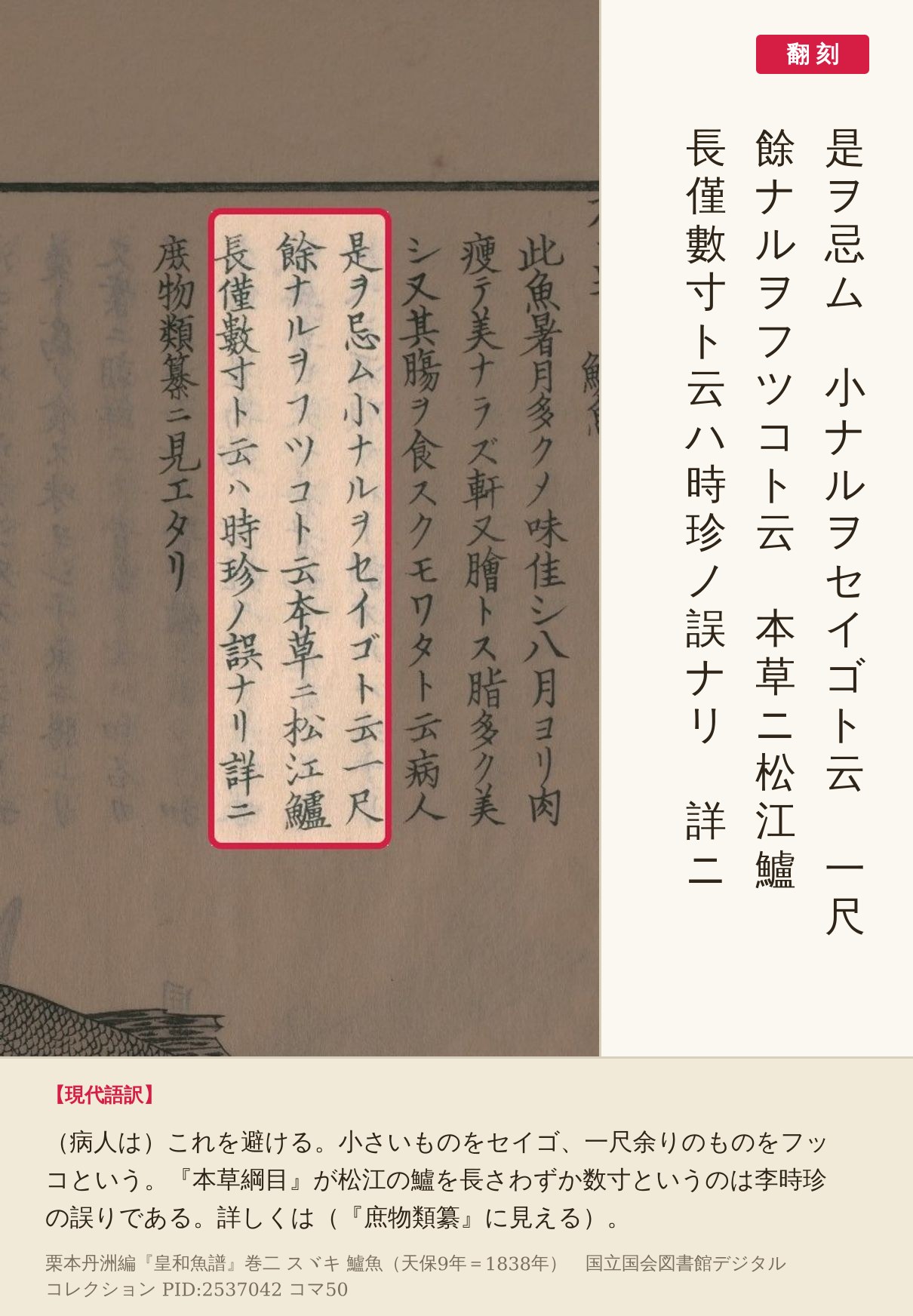 『皇和魚譜』コマ50の「小ナルヲセイゴト云」から「時珍ノ誤ナリ」までの3列の赤枠と翻刻