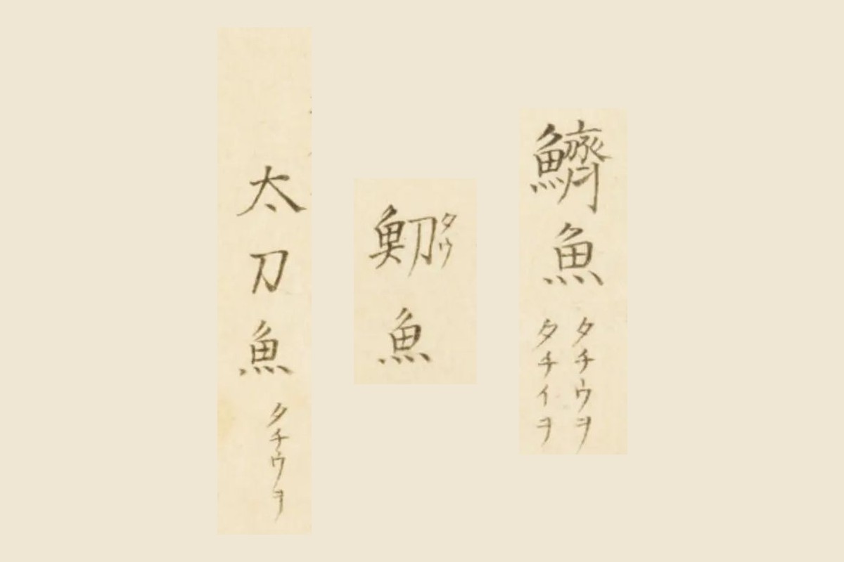 『梅園魚品図正』コマ48の「鱭魚　タチウヲ　タチイヲ」「魛魚」「太刀魚　タチウヲ」の大写し