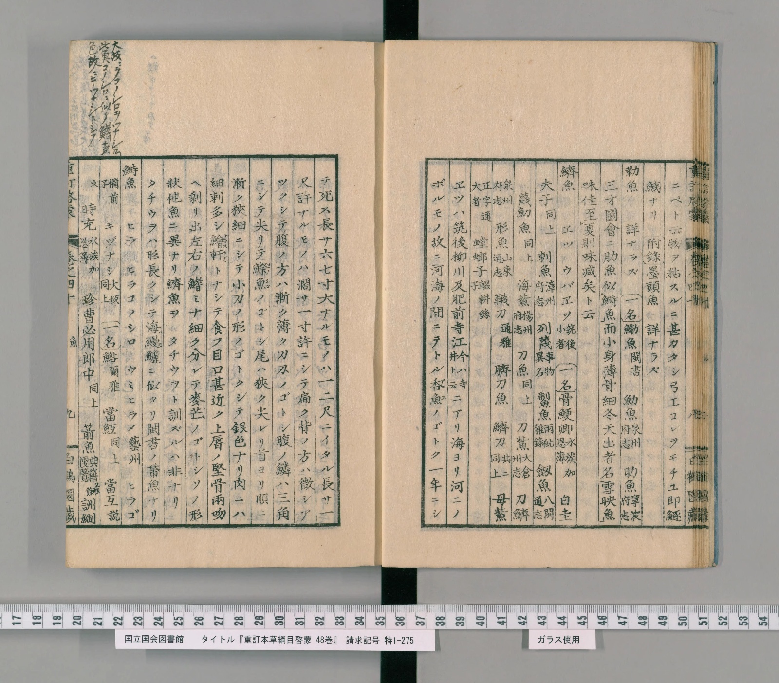 『重訂本草綱目啓蒙』巻四十コマ12の見開き。右ページに見出し「鱭魚　エツ　ウバエツ」