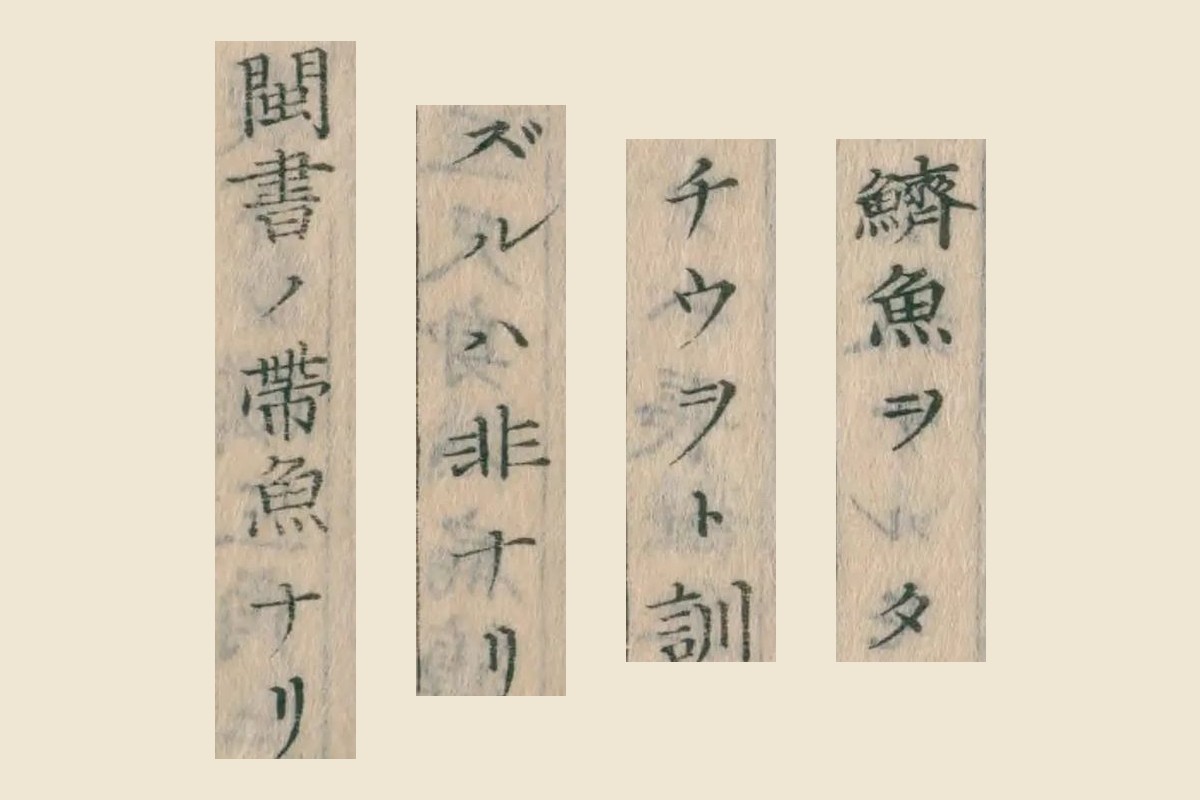 『本草綱目啓蒙』コマ12の「鱭魚ヲタチウヲト訓ズルハ非ナリ」と「閩書ノ帯魚ナリ」の大写し