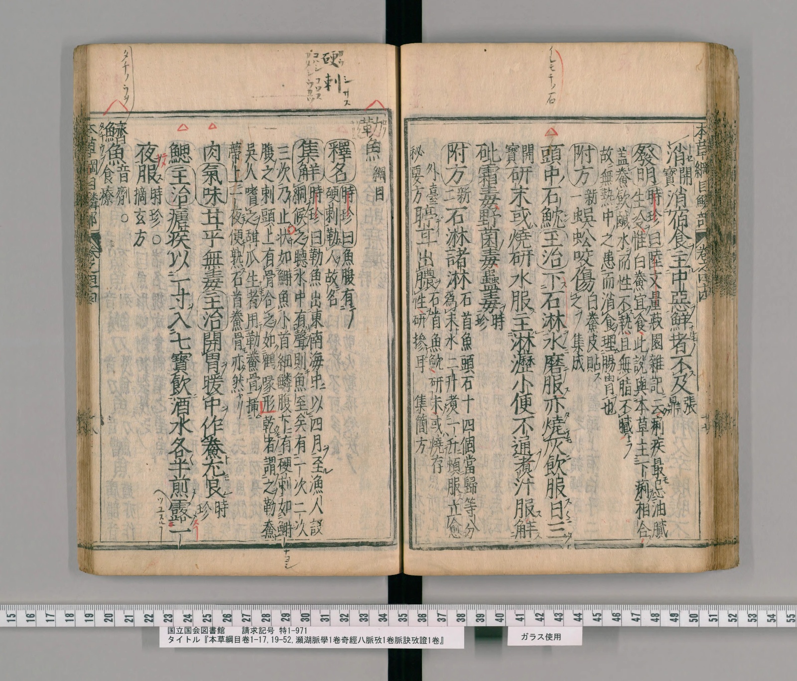 『本草綱目』巻四十四コマ65の見開き。左ページの左端に見出し「鱭魚」、上の余白に「タチノウヲ」の書き入れ