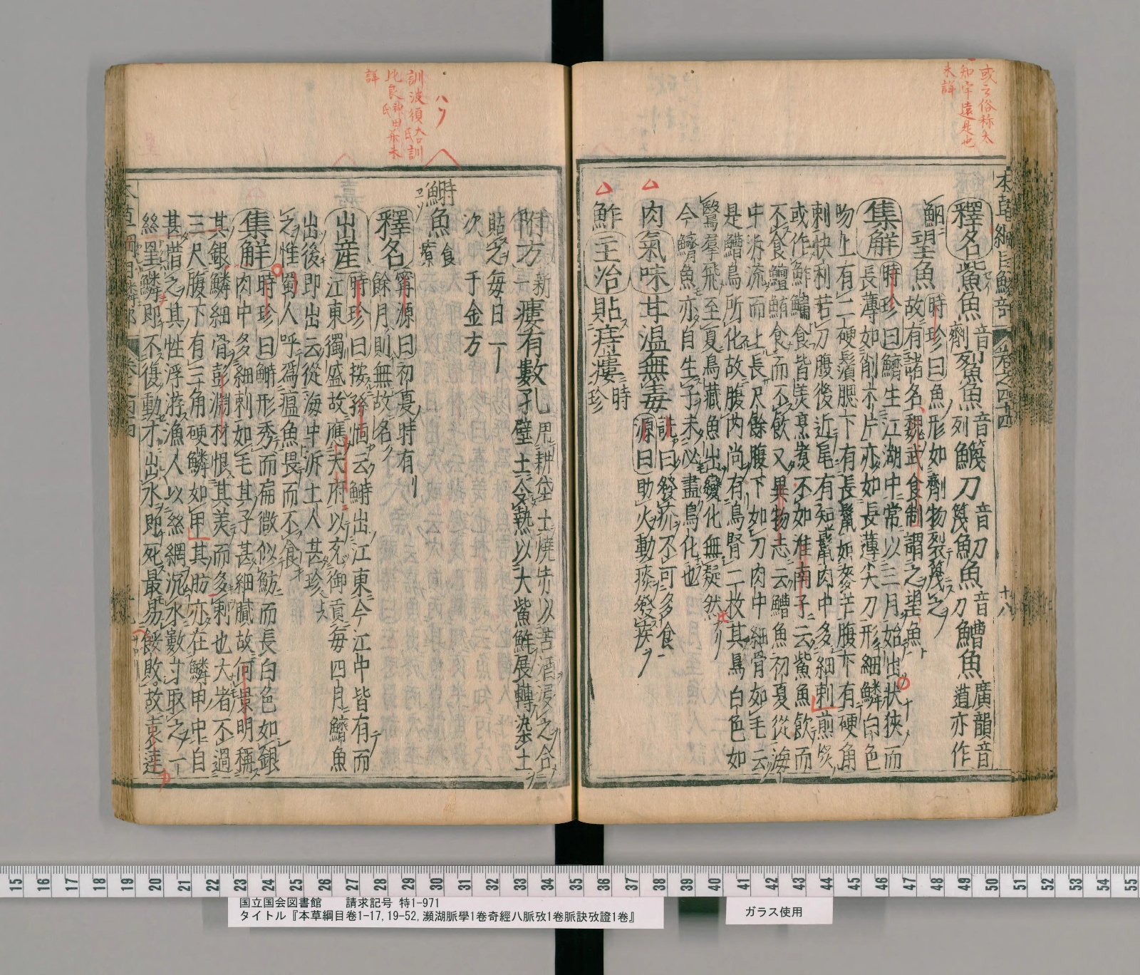 『本草綱目』巻四十四コマ66の見開き。右ページの右端に丸囲みの「釋名」、その左に「集解」