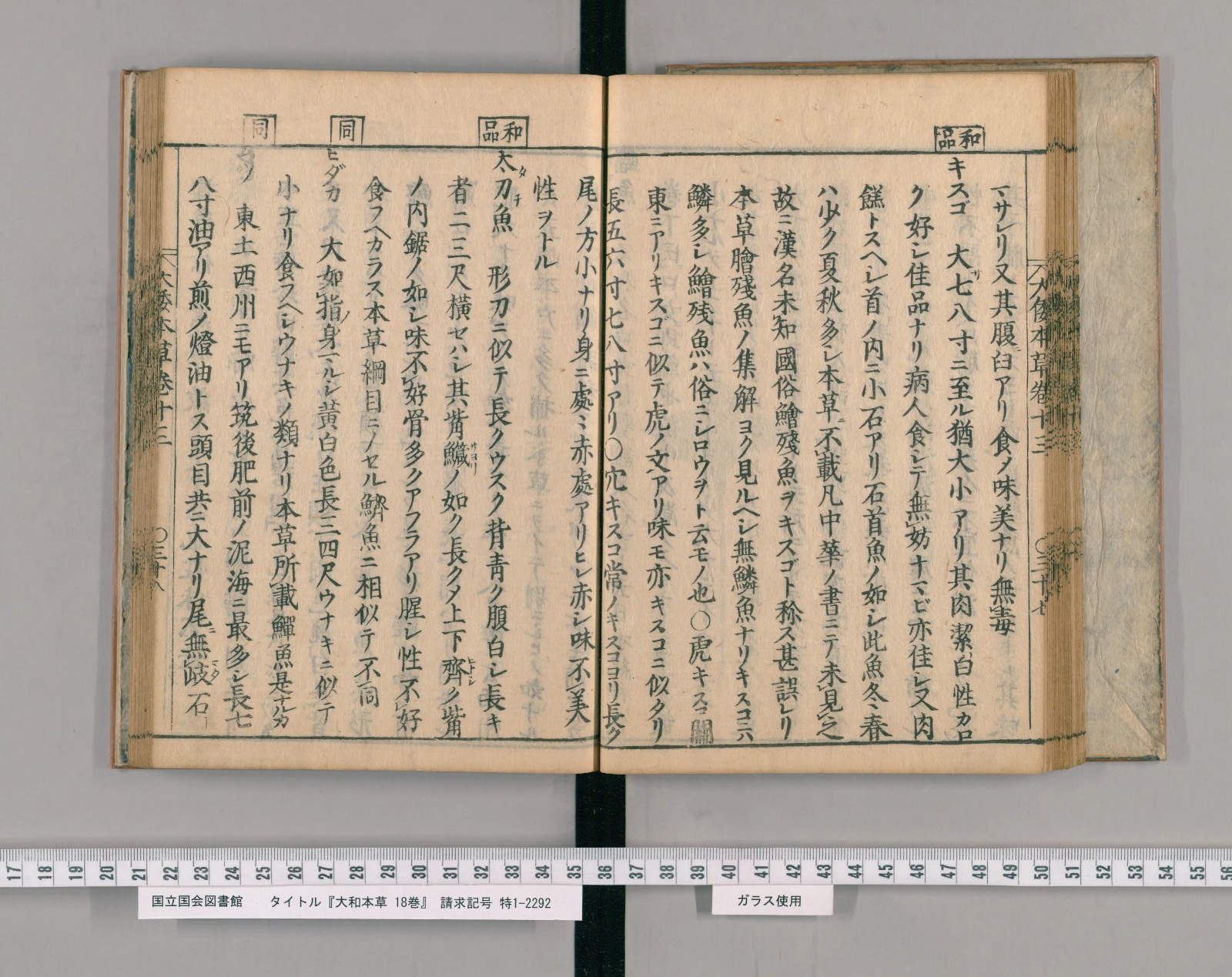 『大和本草』巻十三コマ40の見開き。左ページの右から二列目に見出し「太刀魚」