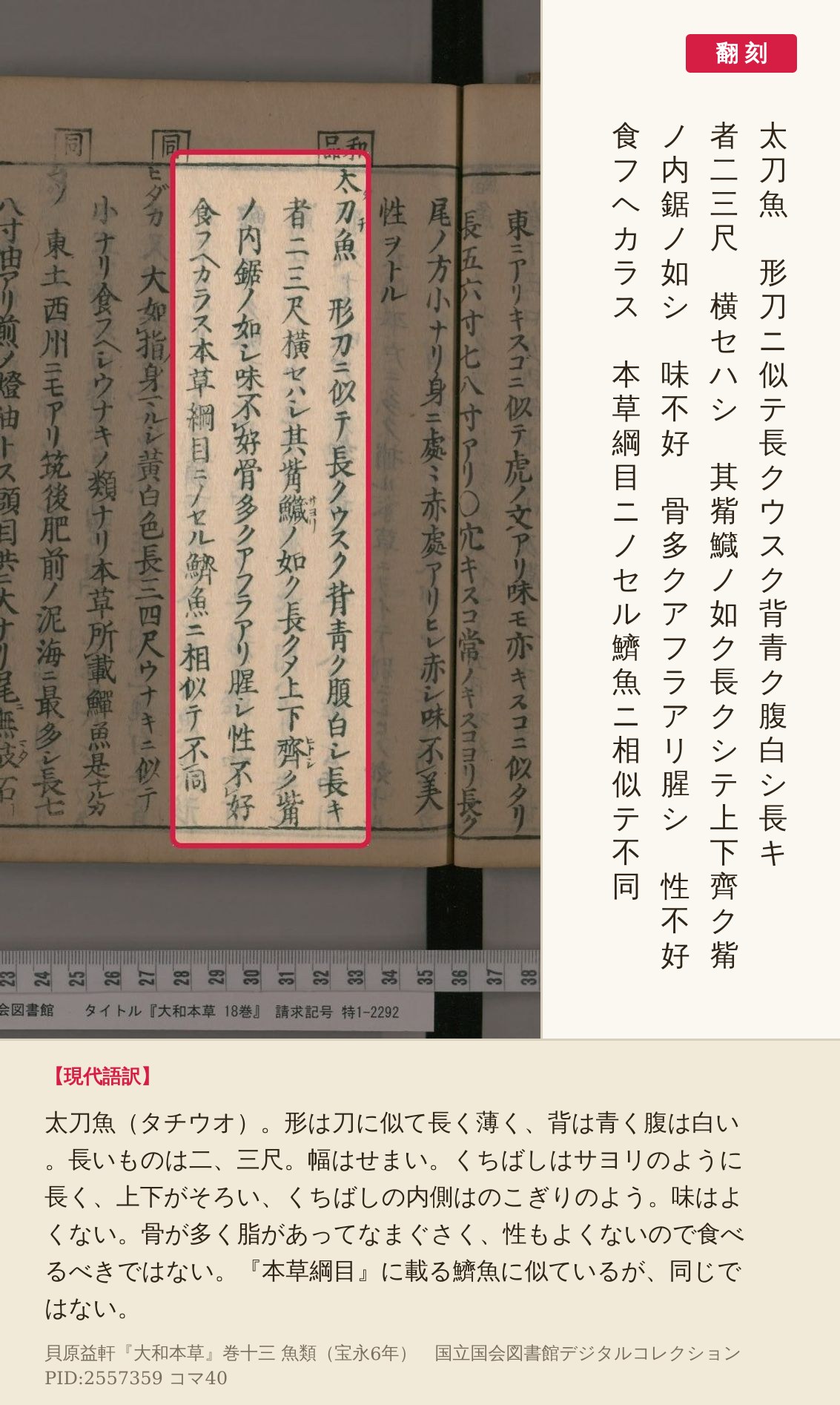 『大和本草』コマ40の太刀魚の項を赤枠で囲み、翻刻と現代語訳を並べた画像