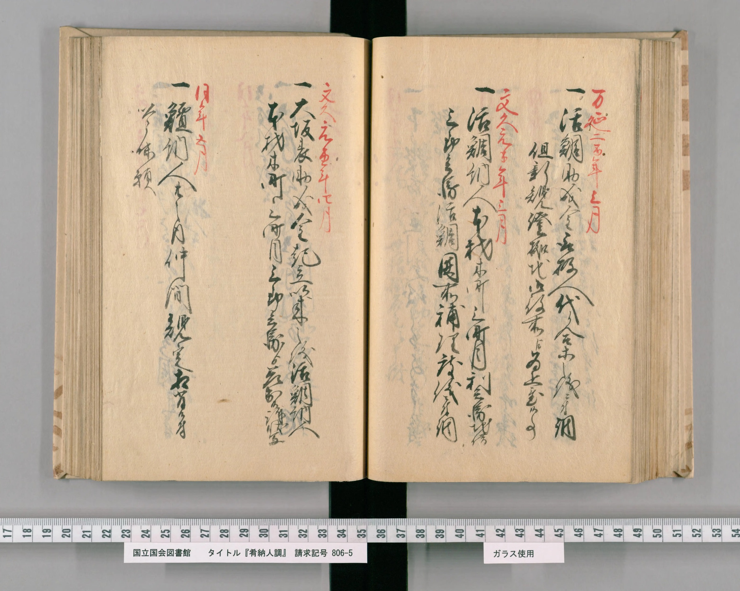 『肴納人調』の年次記録の一丁。活鯛に関する案件が年ごとに並ぶ