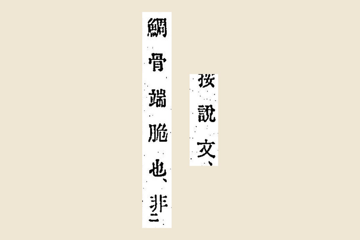 『箋注倭名類聚抄』コマ11の「按說文、」と「鯛骨端脆也、非」の大写し