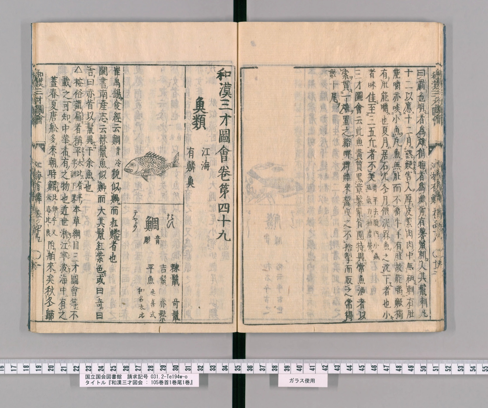 『和漢三才図会』巻四十九コマ18の見開き。左ページ上にタイの絵、その下に見出し「鯛」と別名が並ぶ