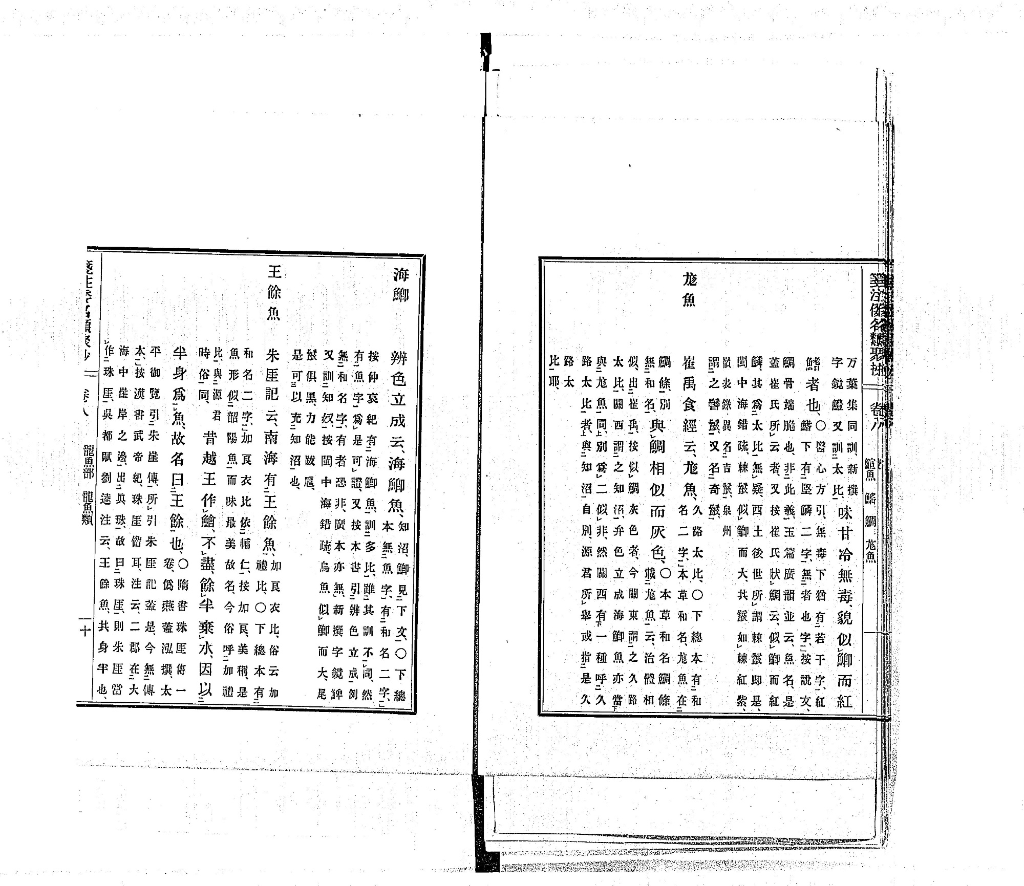 『箋注倭名類聚抄』巻八コマ11の見開き。右ページのはじめに鯛の項の続き、その左に見出し「尨魚」