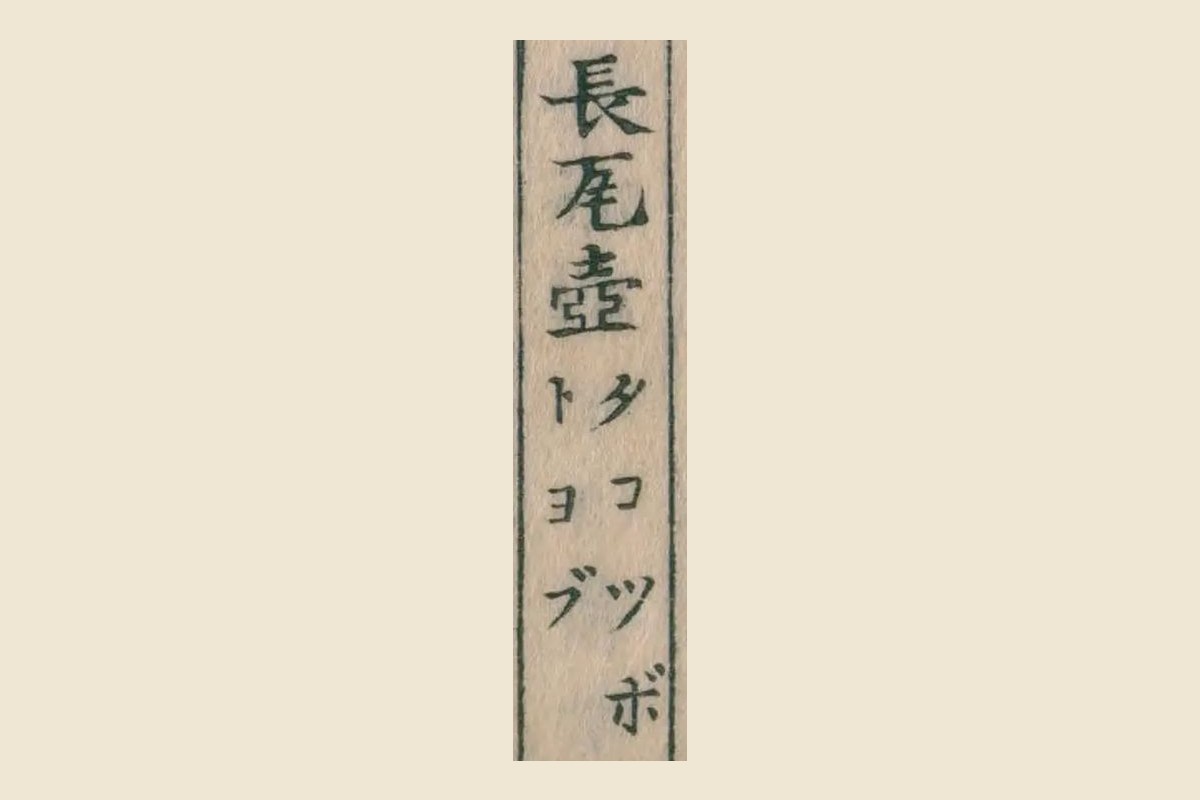 『重訂本草綱目啓蒙』章魚の項「長瓦壺」とルビ「タコツボ」の大写し