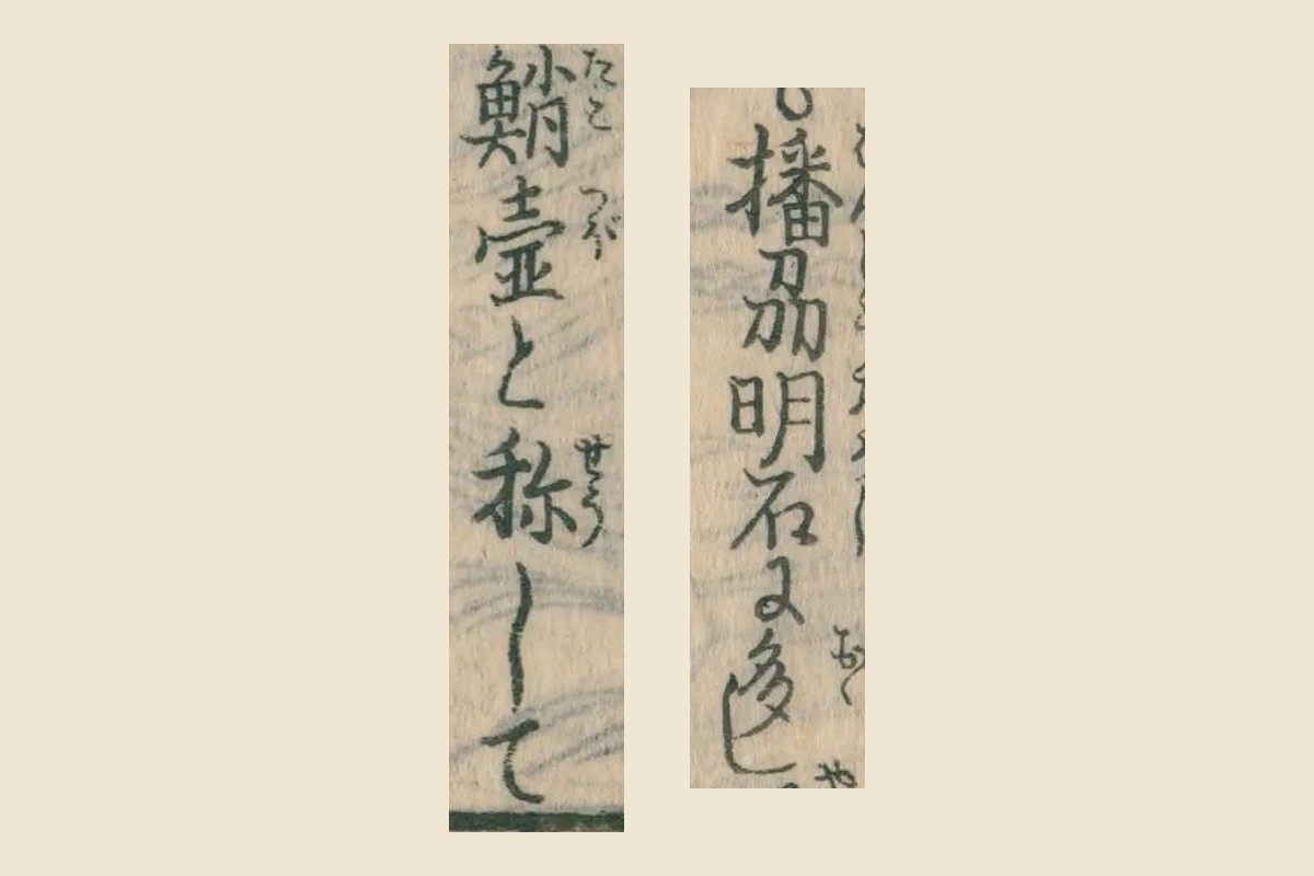 『日本山海名産図会』巻之四の章魚の項「播州明石に多し」「鮹壺と称して」の大写し