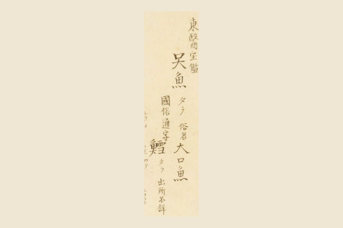 『梅園魚品図正』の見出し「東醫寶鑑 吴魚 タラ 俗名大口魚」と「國俗通字 鱈 タラ 出所不詳」の大写し