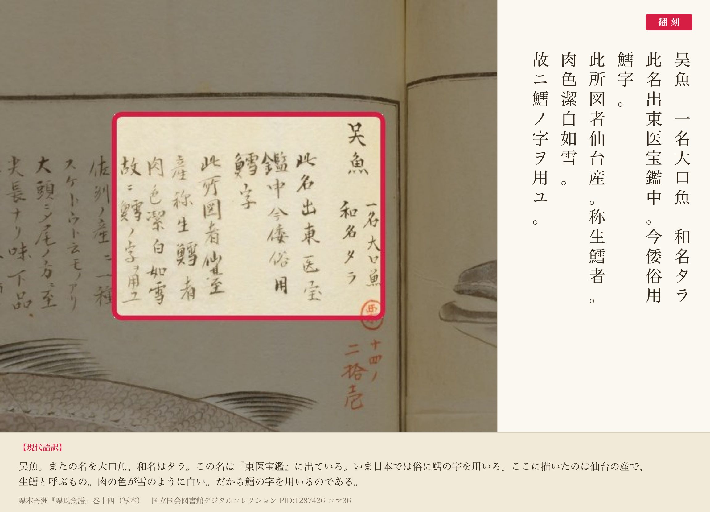 『栗氏魚譜』コマ36の書き入れ「吴魚 一名大口魚 和名タラ」から「故ニ鱈ノ字ヲ用ユ」までと翻刻