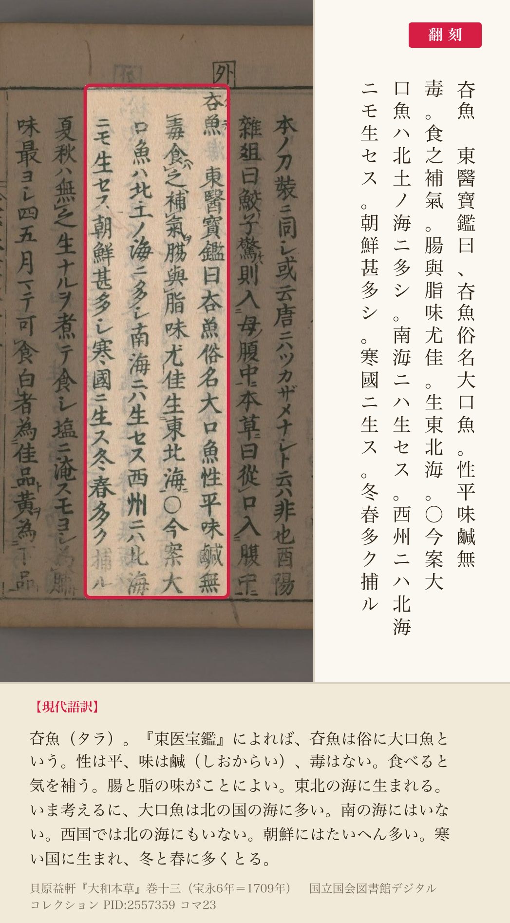 『大和本草』巻十三コマ23の見出し「夻魚」から「寒國ニ生ス冬春多ク捕ル」までの4列と翻刻