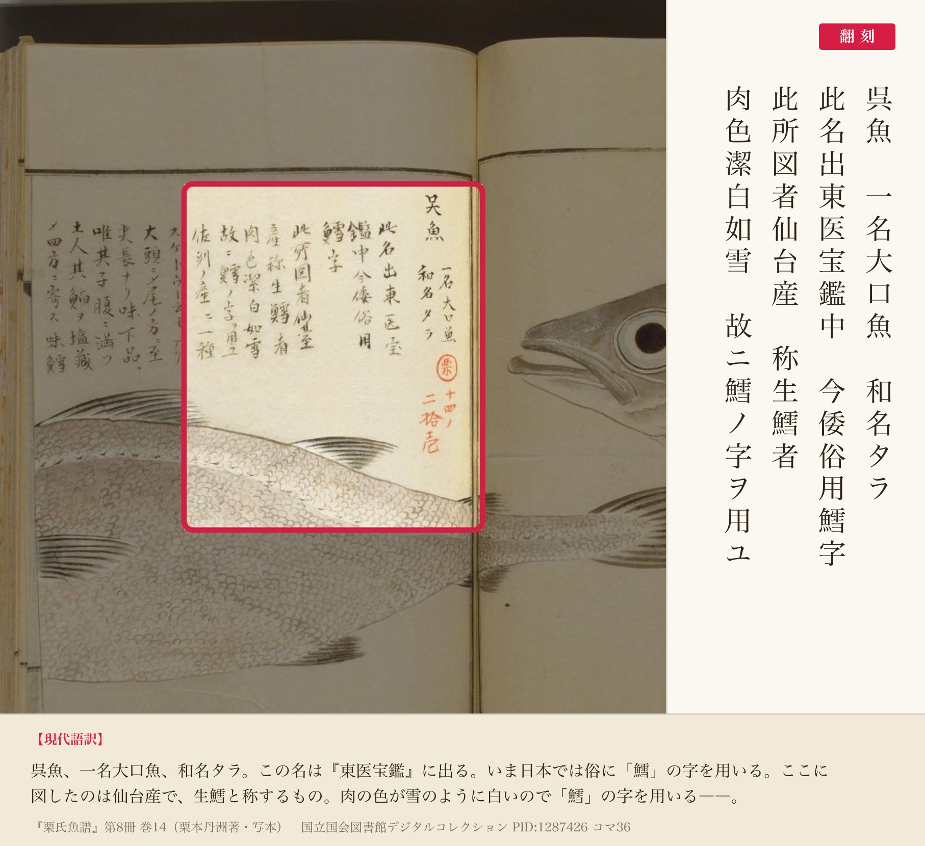 『栗氏魚譜』コマ36の書き入れ「呉魚 一名大口魚 和名タラ」以下の4列と翻刻