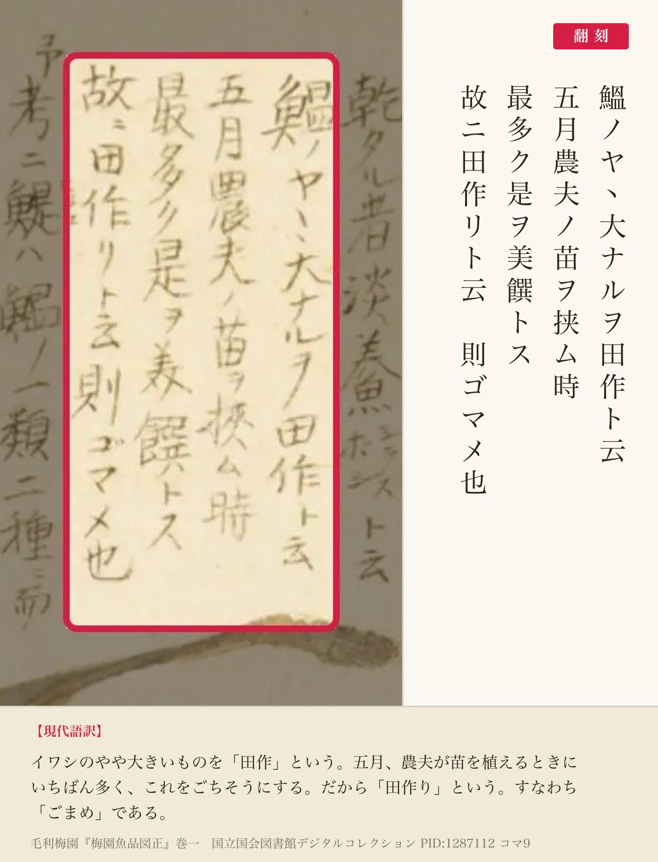 『梅園魚品図正』コマ9の書き入れのうち、田作りの名の由来を書いた四列と翻刻