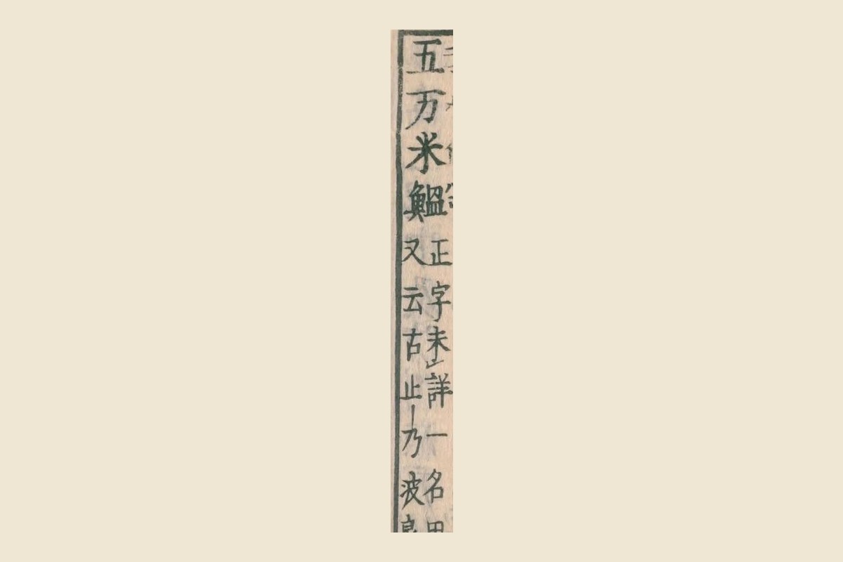 『和漢三才図会』巻四十九コマ36の見出し「五万米鰮」と割注「正字未詳　一名田作　又云古止乃波良」の大写し