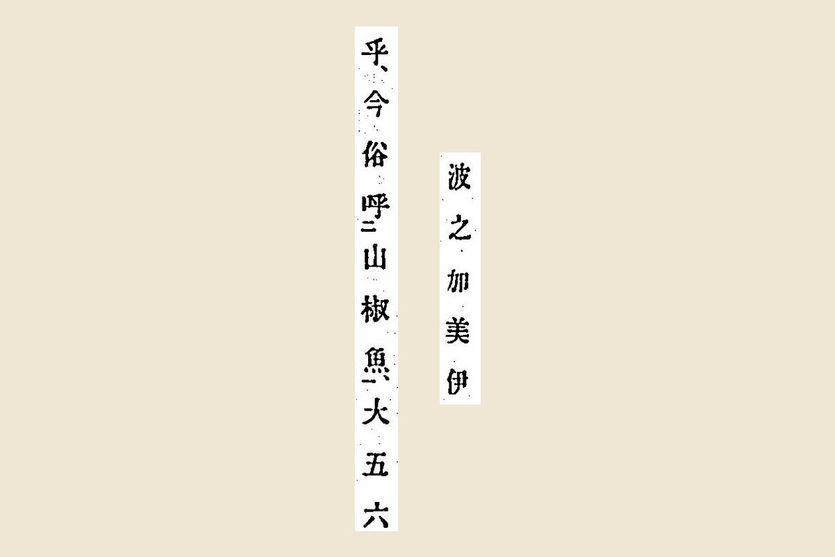 『箋注倭名類聚抄』コマ21の「波之加美伊」と「乎、今俗呼山椒魚、大五六」の大写し