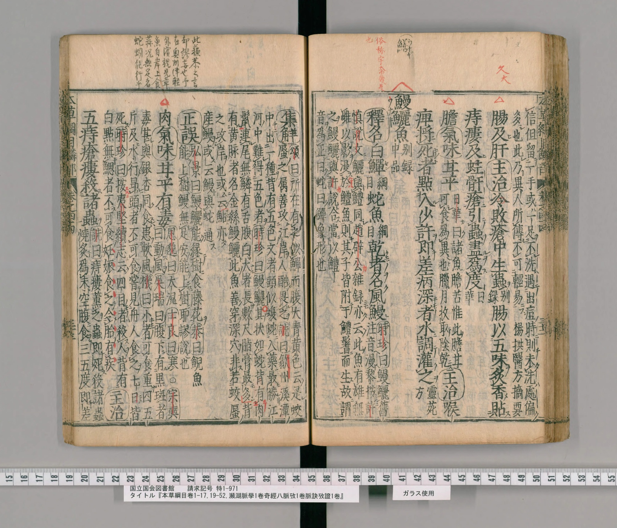『本草綱目』承応2年刊本 巻四十四コマ80の見開き。右ページのなかほどに見出し「鰻鱺魚」、上の余白に朱と墨の書き入れ