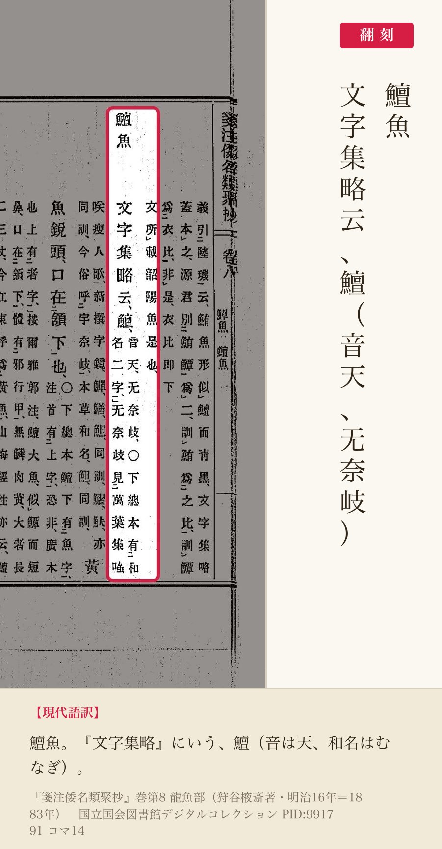 『箋注倭名類聚抄』巻八コマ14の見出し「鱣魚」と「文字集略云、鱣（音天、无奈岐）」の翻刻