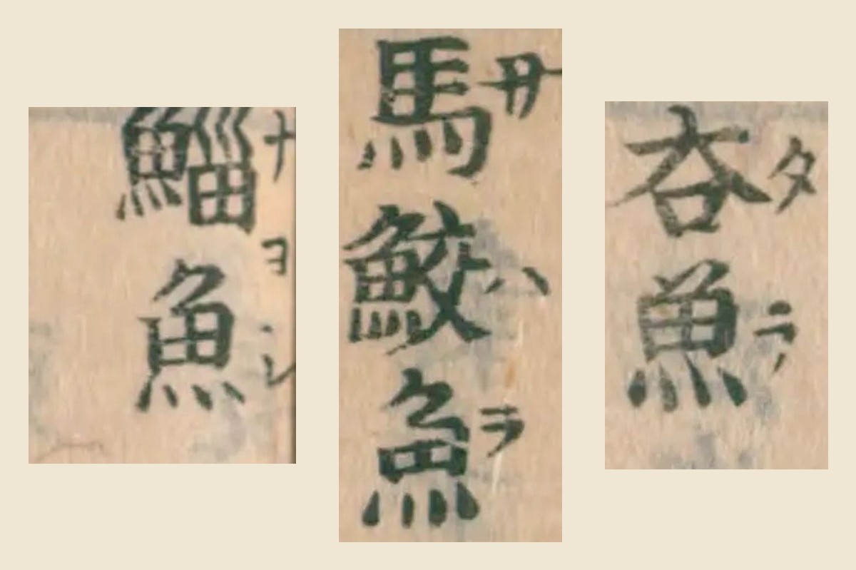 『大和本草』巻十三の見出し「夻魚」「馬鮫魚」「鯔魚」の大写し。振り仮名はタラ、サハラ、ナヨシ
