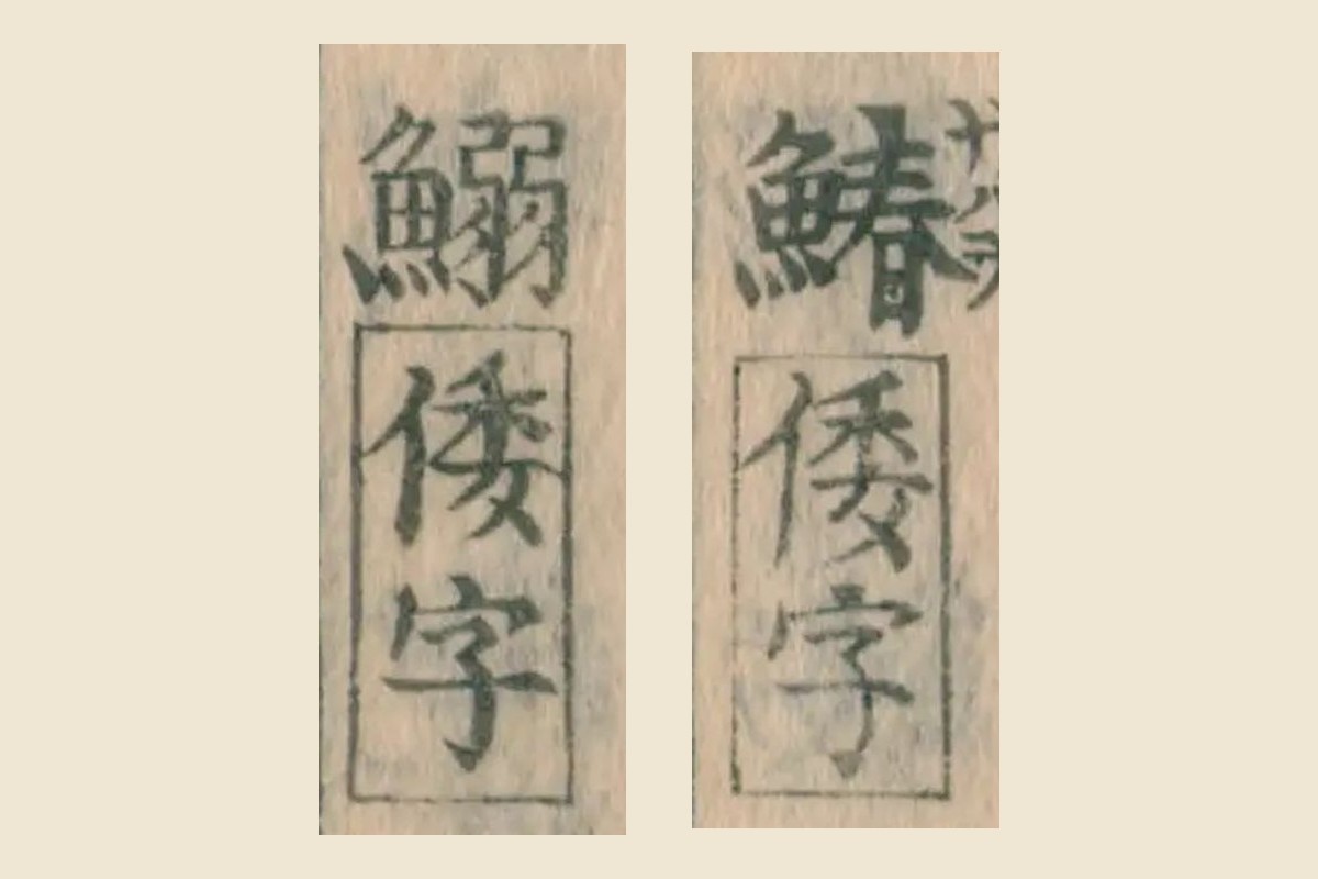 『大和本草』巻一の一覧表の「鰆」と「鰯」の大写し。どちらの字の下にも枠で囲んだ「倭字」
