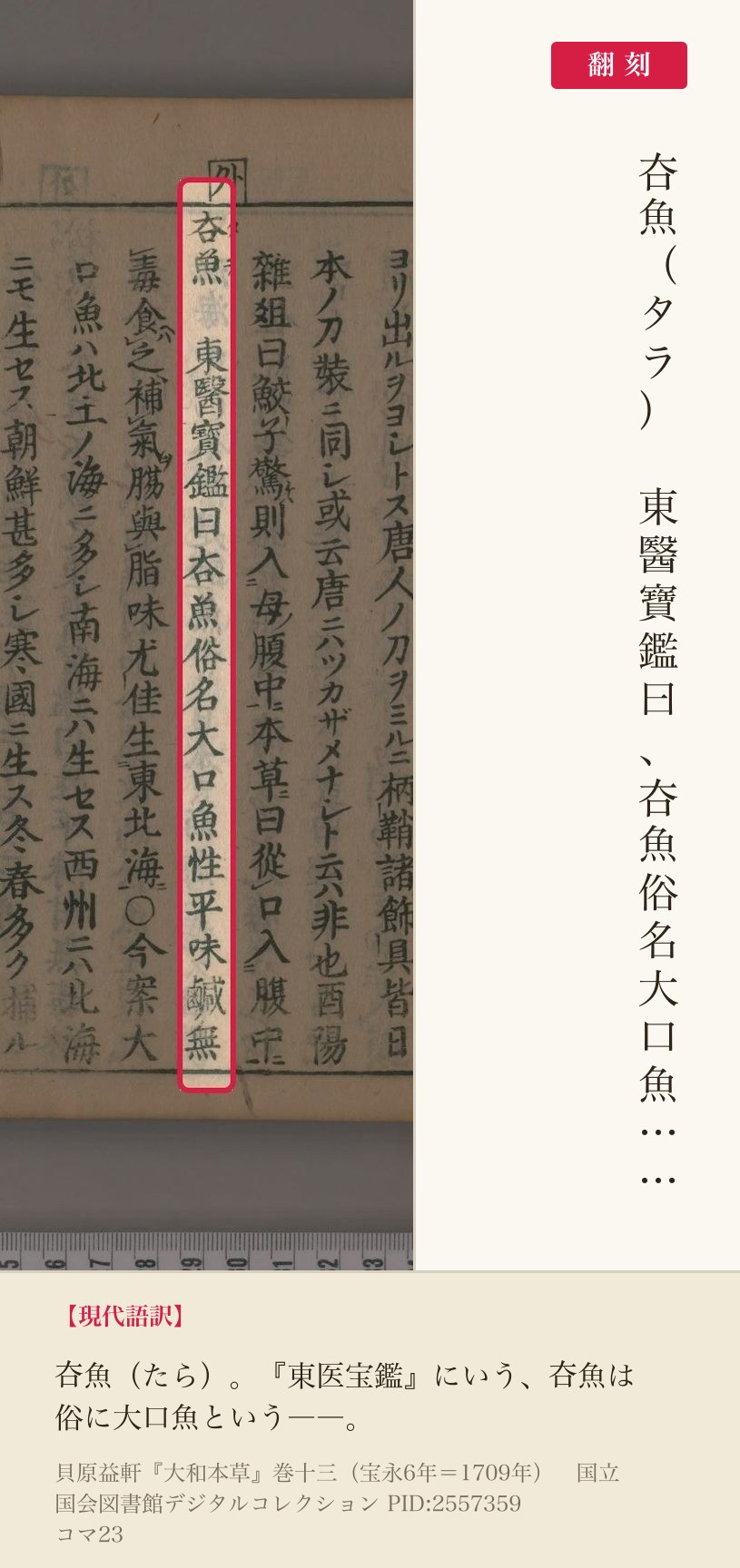 『大和本草』巻十三コマ23のタラの項「夻魚 東醫寶鑑曰夻魚俗名大口魚」と翻刻