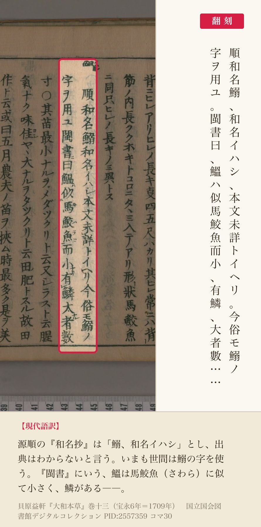 『大和本草』巻十三コマ30のイワシの項「順和名鰯和名イハシ本文未詳トイヘリ今俗モ鰯ノ字ヲ用ユ閩書曰鰮ハ」の2列と翻刻