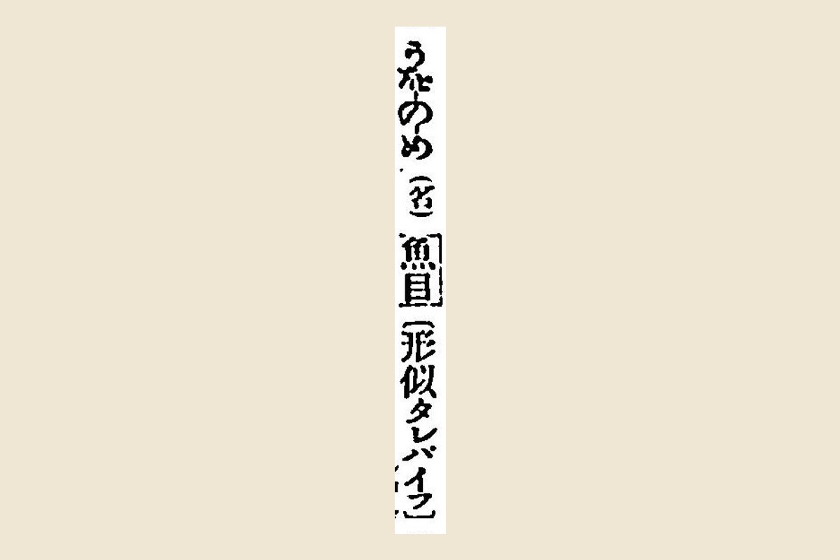 『言海』コマ133の「うをのめ（名）魚目〔形似タレバイフ〕」を大きく切り出したもの