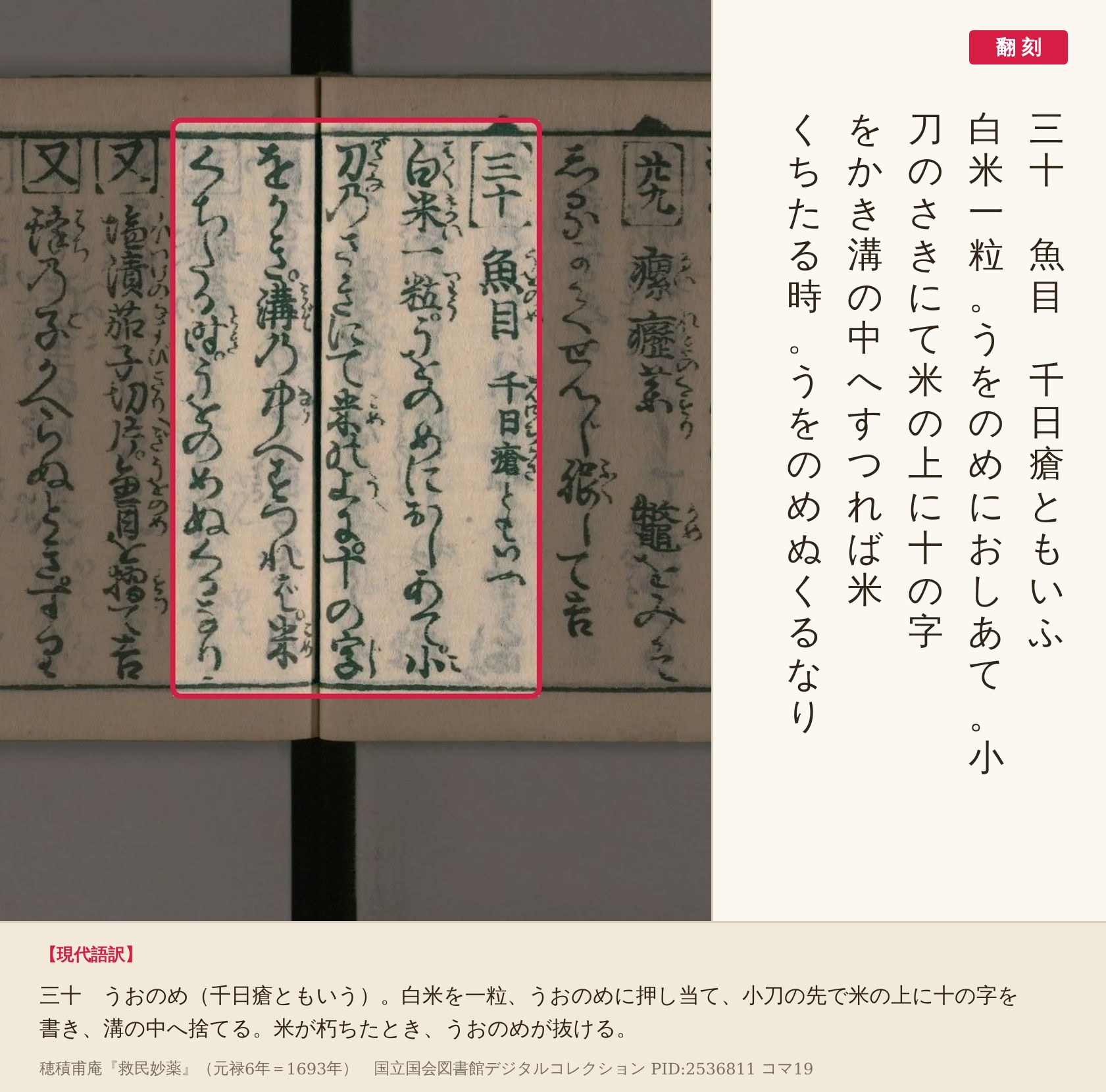 『救民妙薬』コマ19の「三十　魚目　千日瘡ともいふ」から「うをのめぬくるなり」までの5列と翻刻