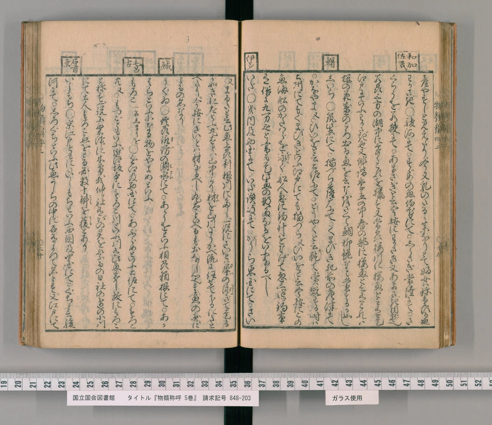 『物類称呼』コマ39の見開き。右ページの上の欄外に四角で囲んだ見出し、その下に「わかさぎ」の項