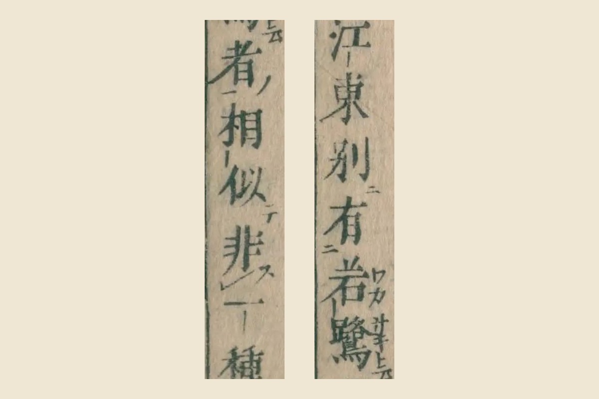 『本朝食鑑』巻七コマ148の「江東別有若鷺」と「相似非一」の大写し。若鷺の右に振り仮名「ワカサギ」